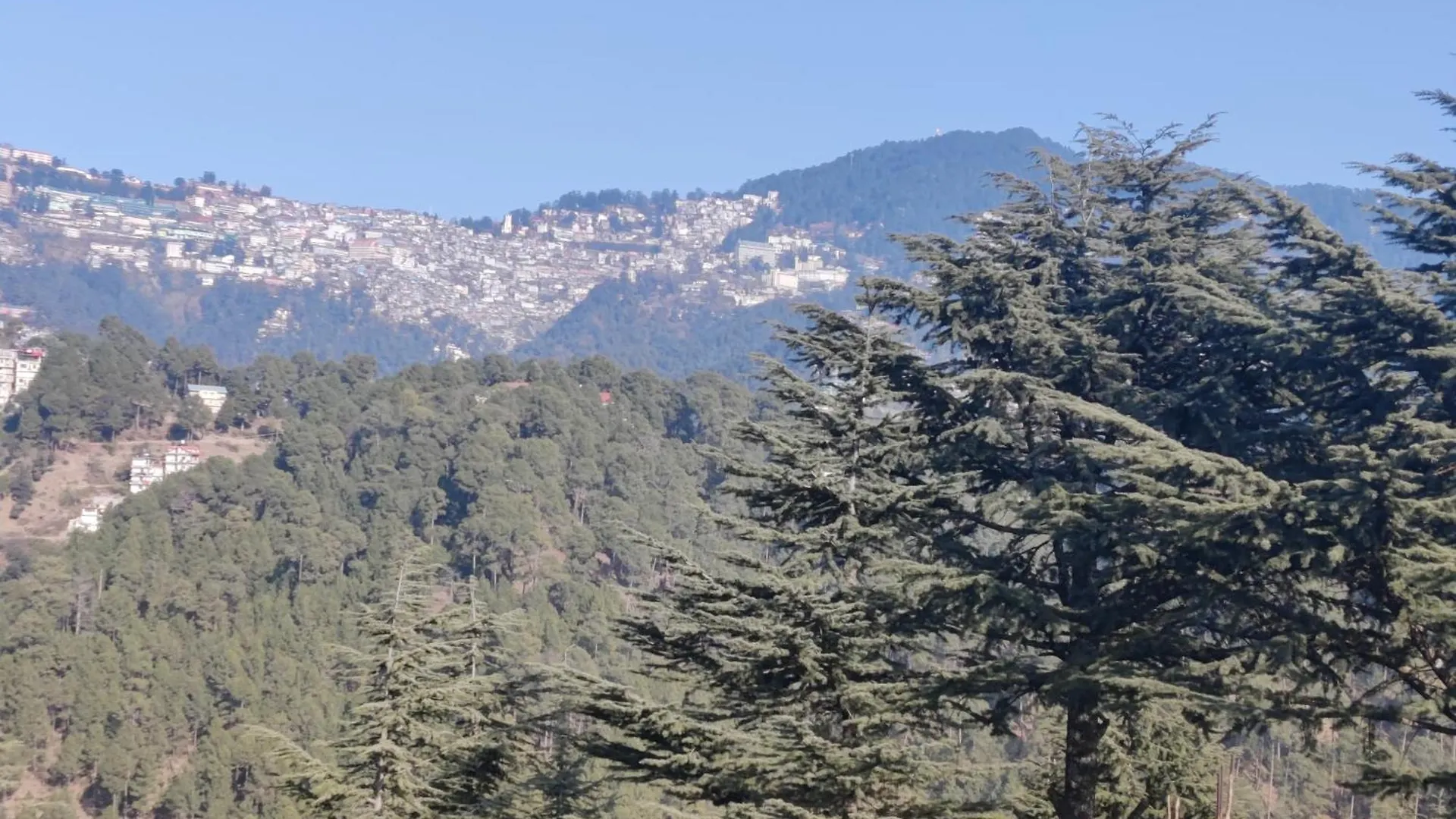 Shimla Hills Apartments 2Bhk 0*,  India